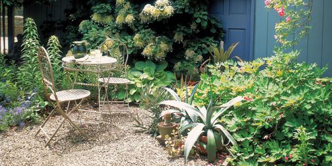 14 Cheap Landscaping Ideas Budget Friendly Landscape Tips For