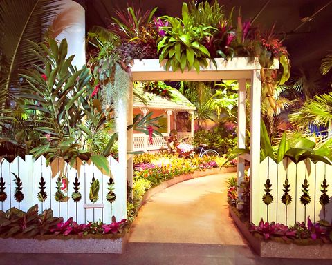 Macy's Flower Show