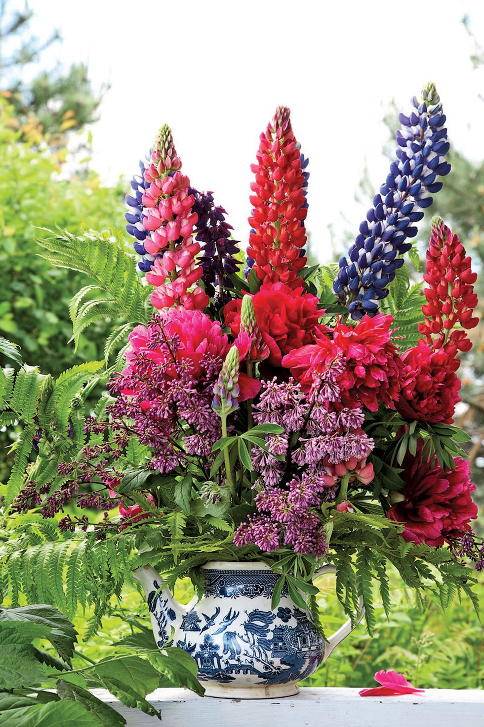 Flower, Flowering plant, Plant, Lupin, Botany, poker primrose, Amaranth family, Foxtail lily, Annual plant, Delphinium, 