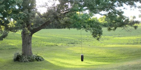 Ideas For Outdoor Summertime Fun Easy Diy Tire Swing