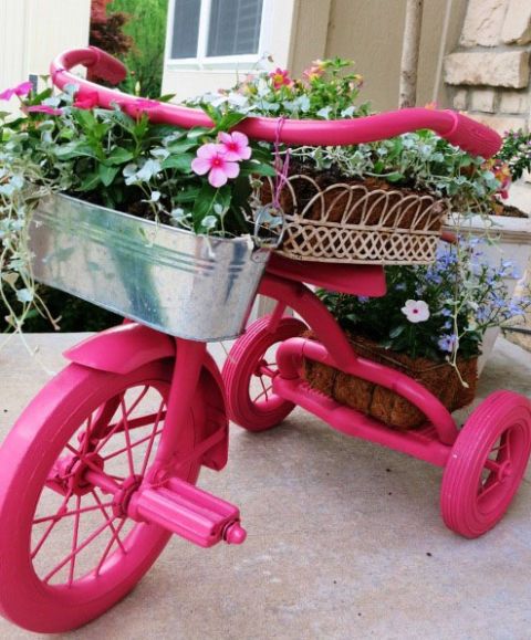 Flower, Bicycle accessory, Pink, Petal, Magenta, Bicycle wheel, Shrub, Flowerpot, Bicycle wheel rim, Bicycle, 