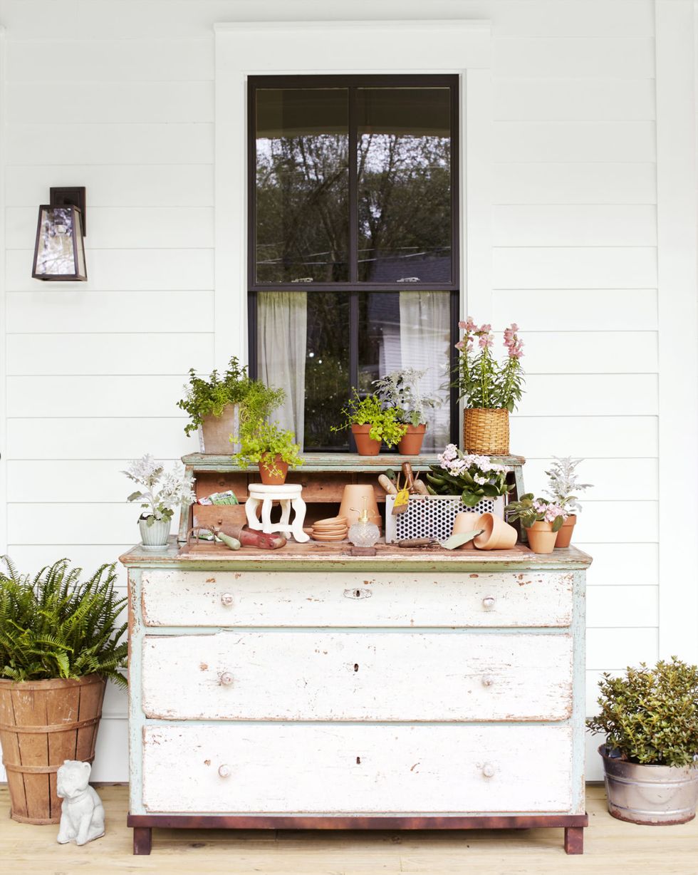 Flowerpot, Plant, Fixture, Houseplant, Interior design, Picture frame, Drawer, Sideboard, Cabinetry, Chest of drawers, 
