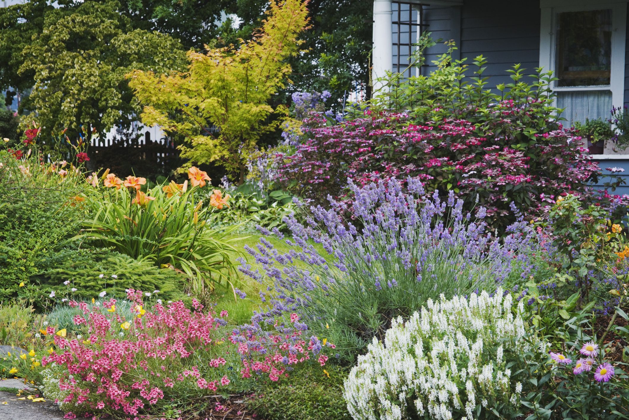 17 Landscaping Ideas For A Low Maintenance Yard