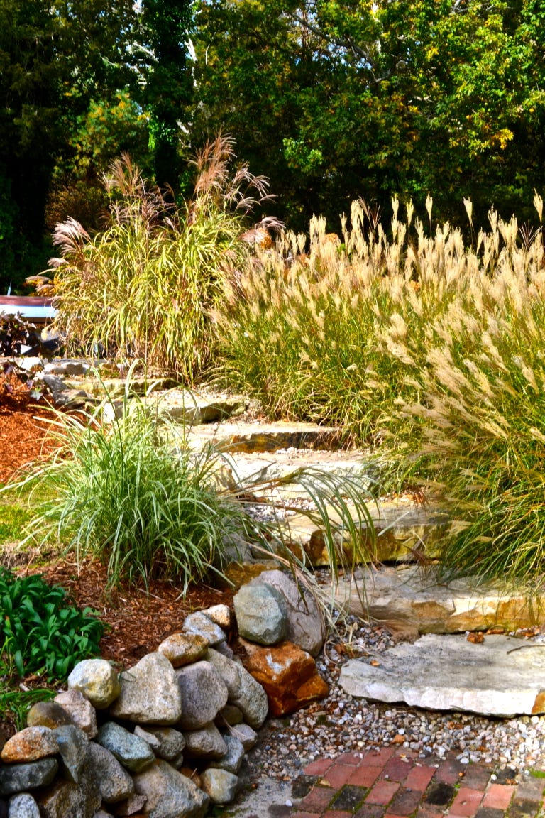 17 Landscaping Ideas For A Low-Maintenance Yard