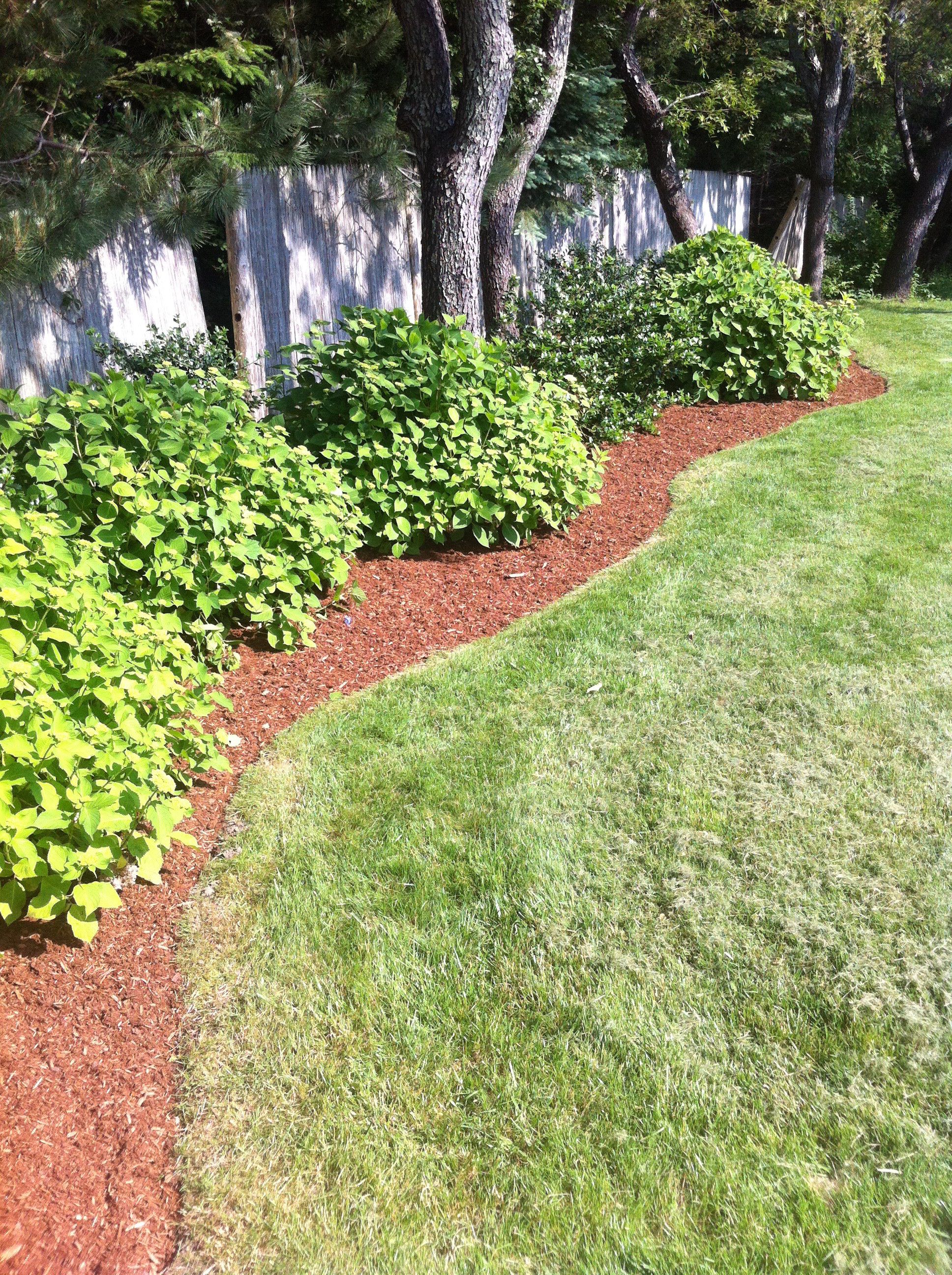 Featured image of post Low Maintenance Landscaping Ideas For Small Yards / Small yard landscapes = design opportunities.