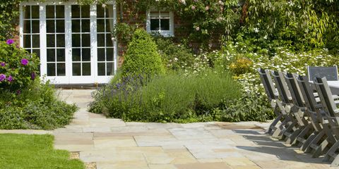 Plant, Window, Shrub, Garden, House, Groundcover, Flagstone, Walkway, Yard, Lawn, 