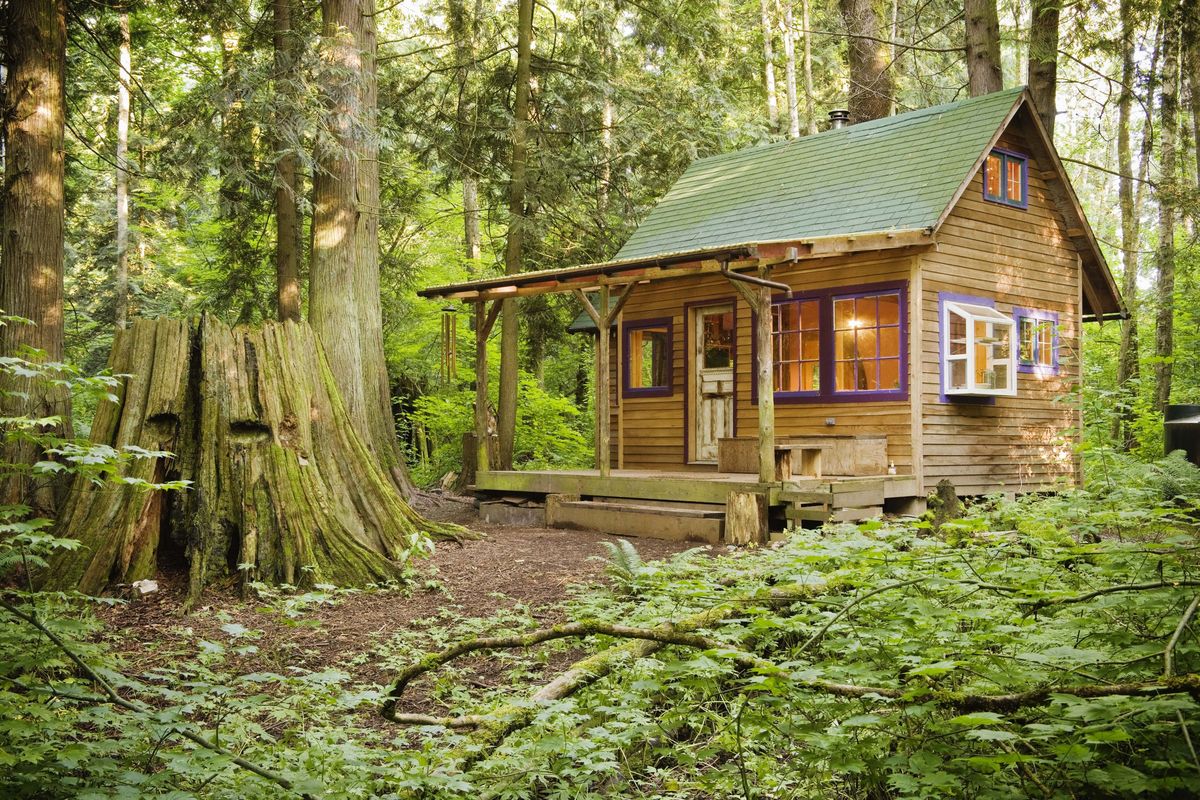 House, Tree, Cottage, Natural landscape, Property, Building, Forest, Home, Shack, Log cabin, 