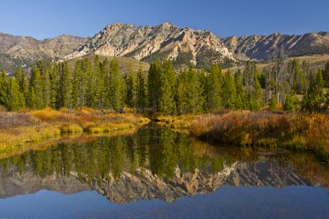 Most Beautiful Forests in America - American Forests