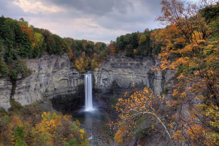 Most Beautiful Forests in America American Forests