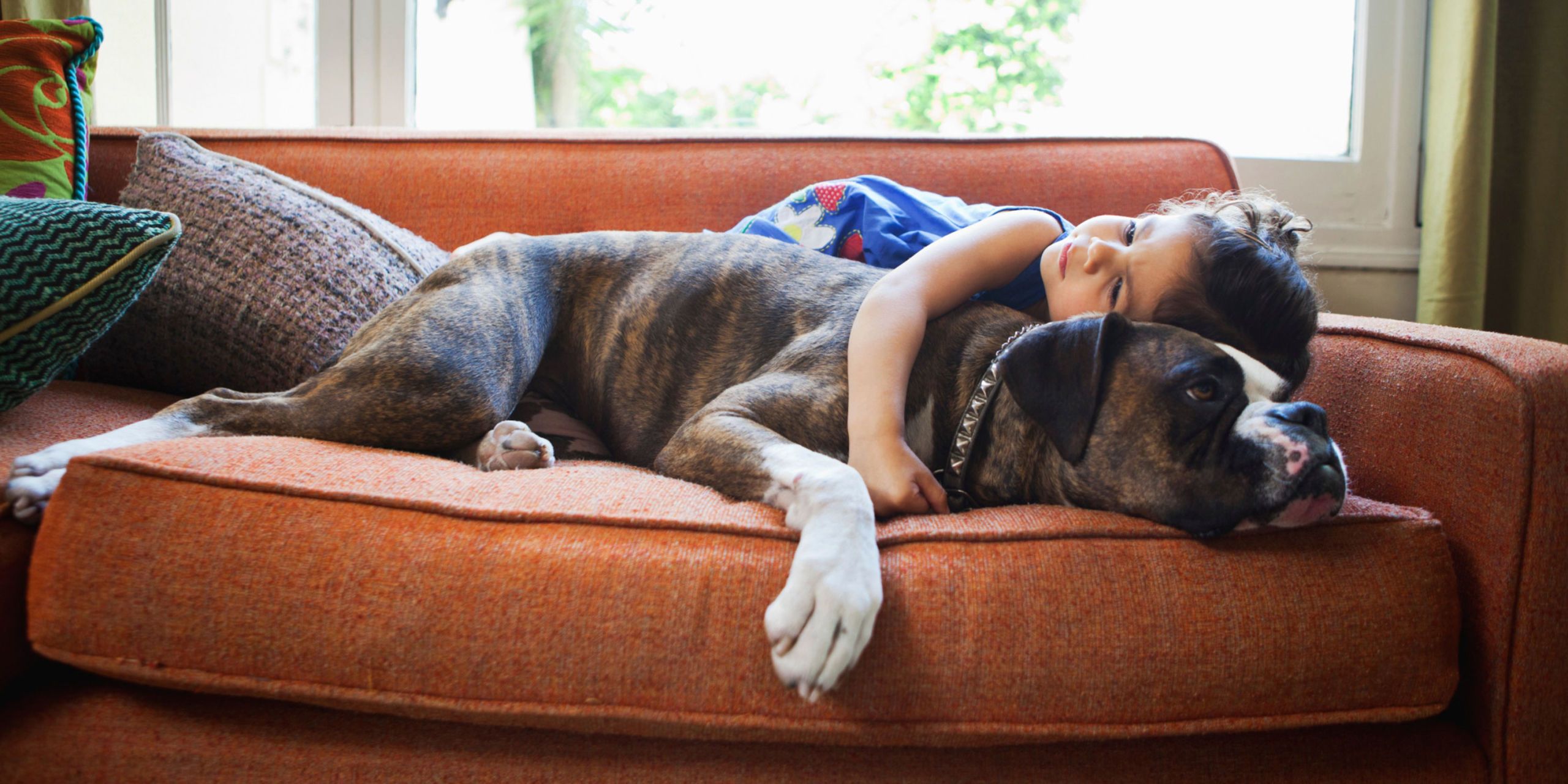 Why You Shouldn T Hug Your Dog What Causes Stress In Dogs   Landscape 1461599027 Gettyimages 149272181 