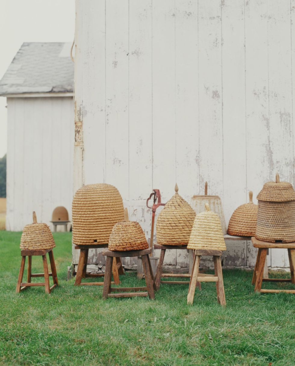 Chair, Furniture, Table, Wicker, Outdoor furniture, Grass, Grass family, Room, Outdoor table, Wood, 