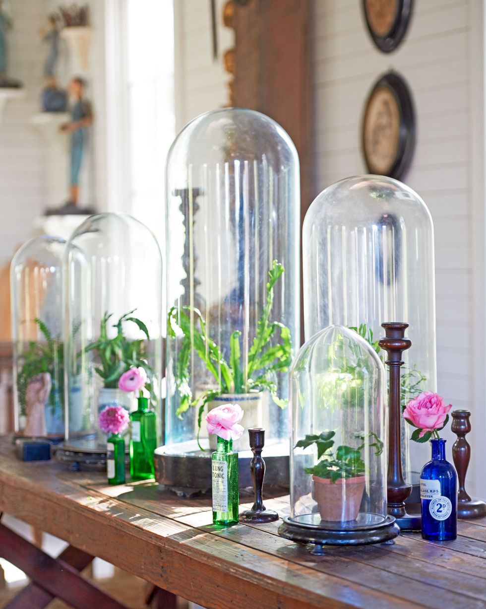 collection of glass cloches