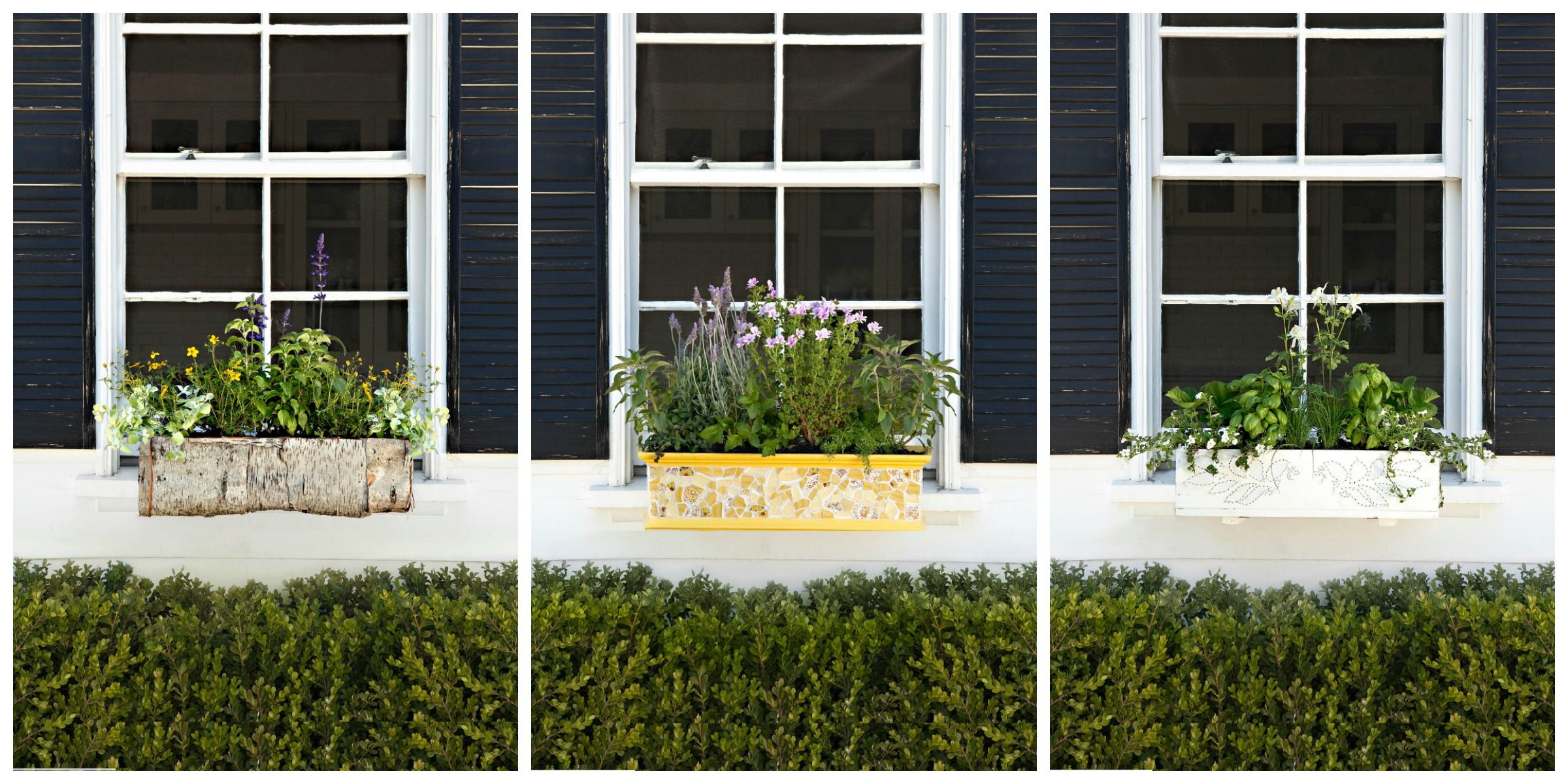 18 Fun Gardening Ideas For Your Window Boxes - Window Box Flowers ... 18 Fun Gardening Ideas For Your Window Boxes - Window Box Flowers ...