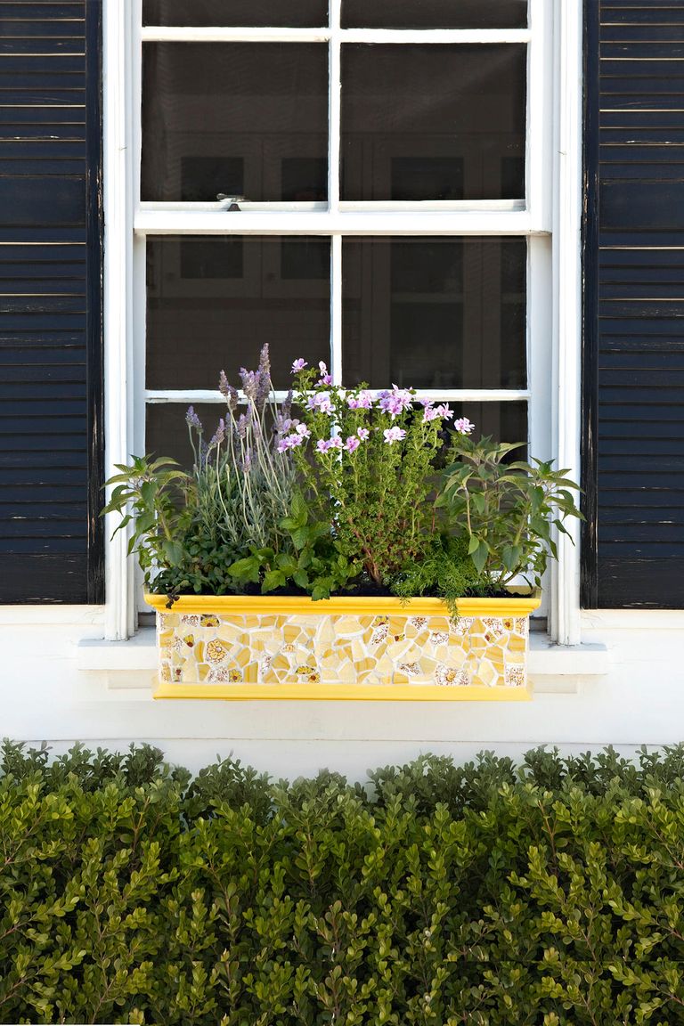 18 Fun Gardening Ideas For Your Window Boxes - Window Box ...