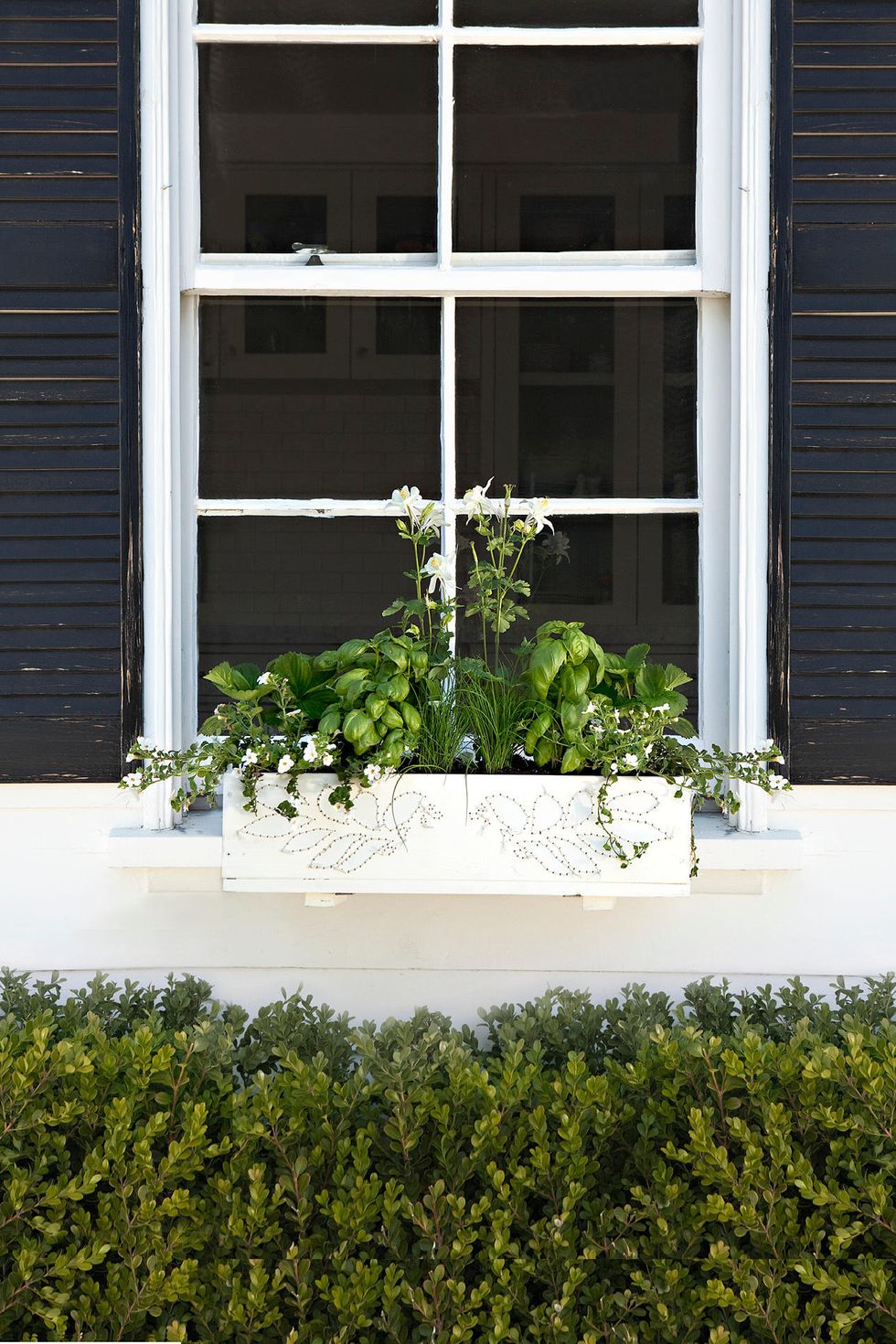 Window, Shrub, Wall, Fixture, House, Daylighting, Rectangle, Sash window, Annual plant, Window treatment, 