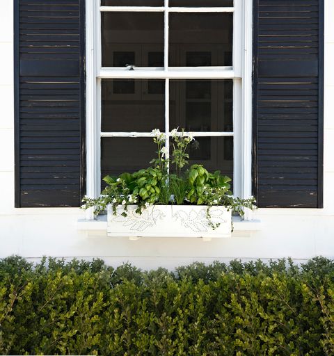 18 Fun Gardening Ideas For Your Window Boxes - Window Box Flowers, Tips ...