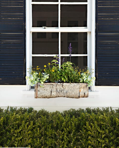 window box container garden