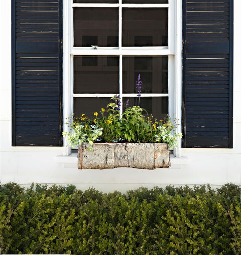 18 Fun Gardening Ideas For Your Window Boxes - Window Box Flowers, Tips ...