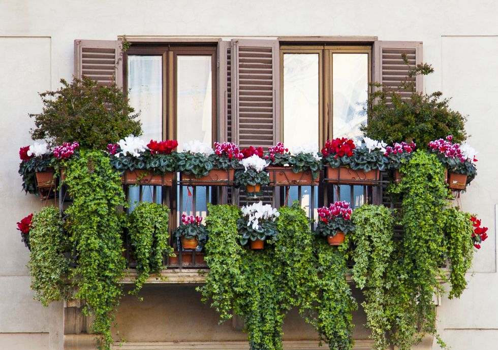 18 Fun Gardening Ideas For Your Window Boxes - Window Box Flowers, Tips ...