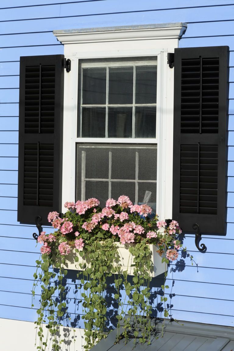 Window, Wood, Flowerpot, Flower, House, Wall, Facade, Fixture, Window treatment, Window covering, 
