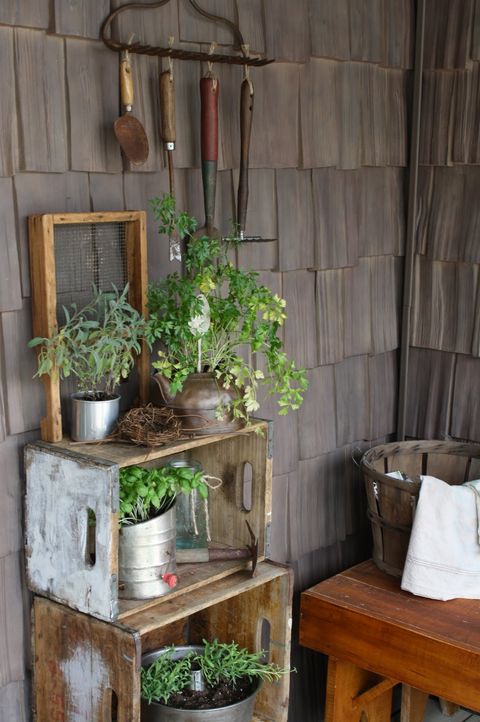 Flowerpot, Houseplant, Shelf, Plant, Furniture, Room, Herb, Wood, Flower, Interior design, 