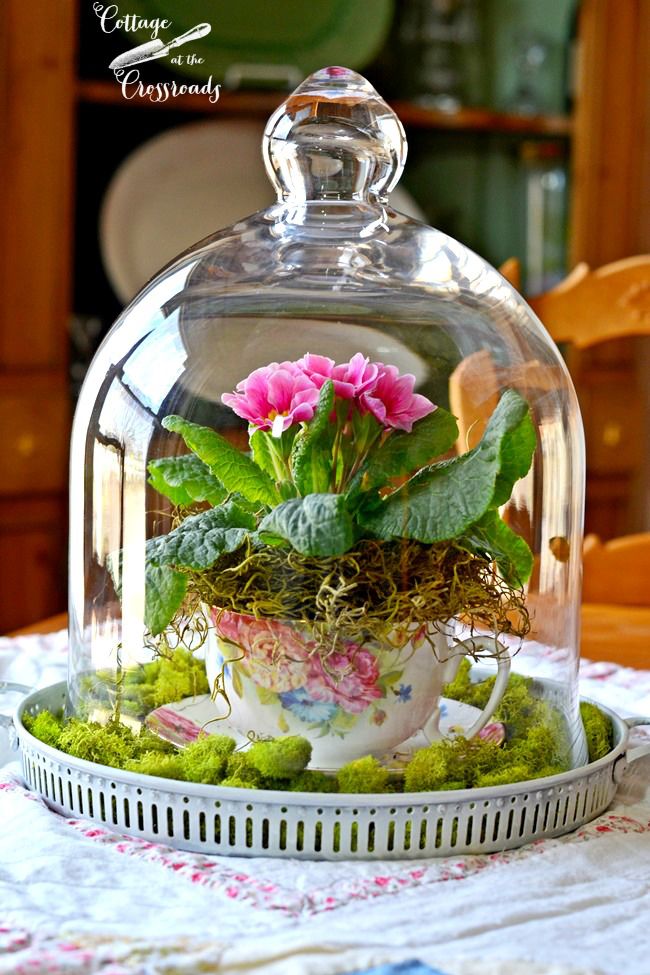 mason teacup terrarium farmhouse diy flower arrangement ideas