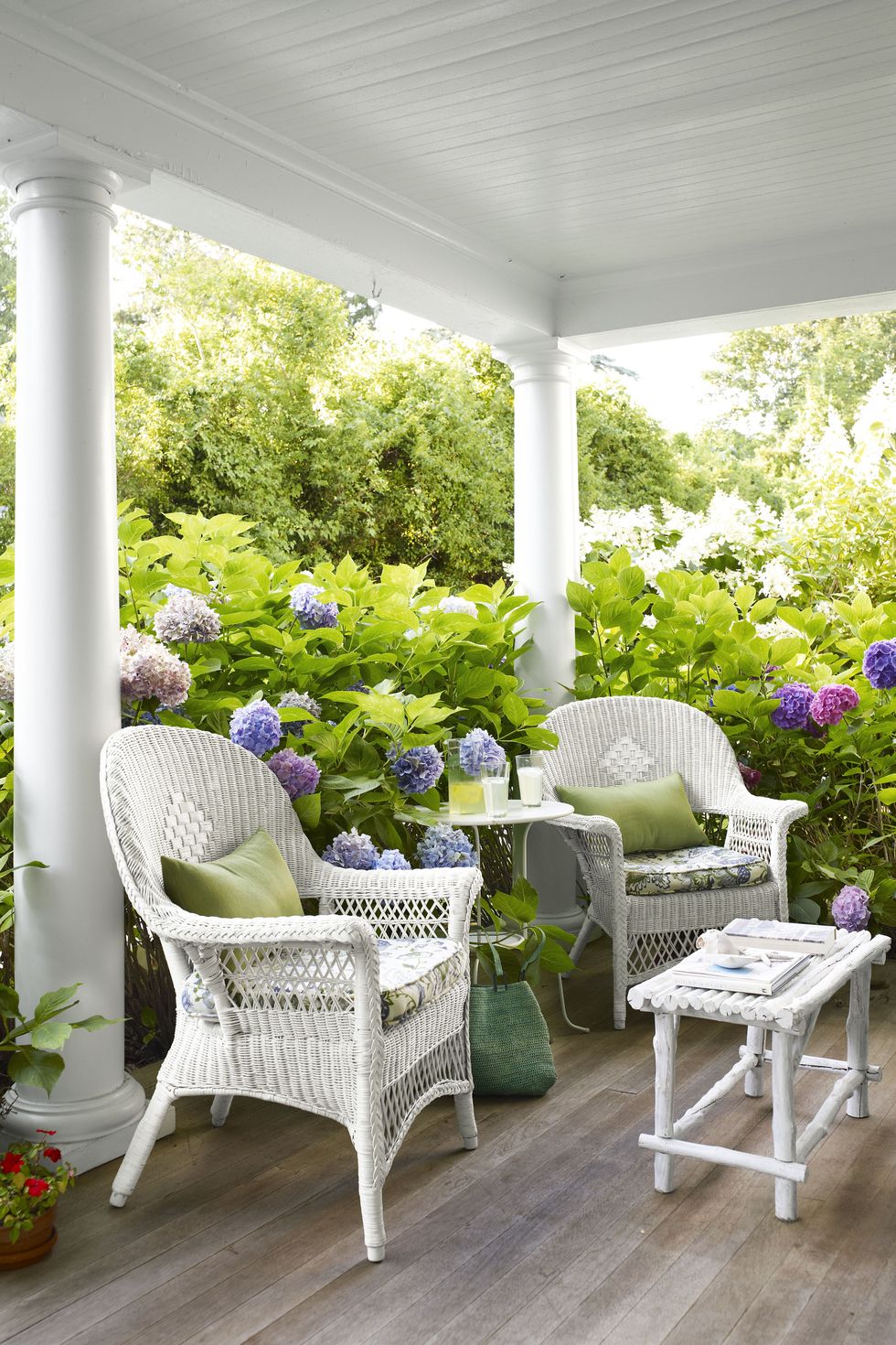 Plant, Furniture, Outdoor furniture, Garden, Flowerpot, Chair, Outdoor table, Shade, Lavender, Hardwood, 