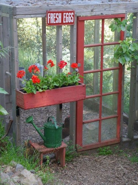 Plant, Red, Flower, Petal, Garden, Shrub, Flowerpot, Annual plant, Coquelicot, Home fencing, 