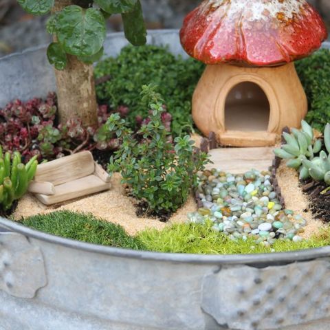 fairy garden in a galvanized bucket