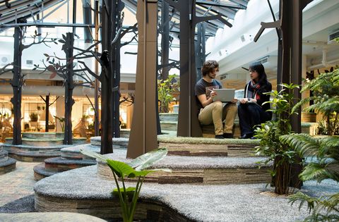 Plant, Shade, Flowerpot, Water feature, Daylighting, Beam, Column, Outdoor structure, Courtyard, Landscaping, 