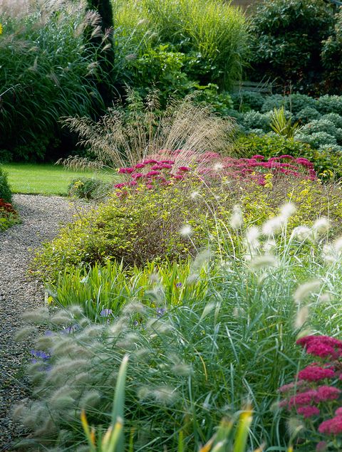 Water Saving Landscaping — Saving Water In the Garden