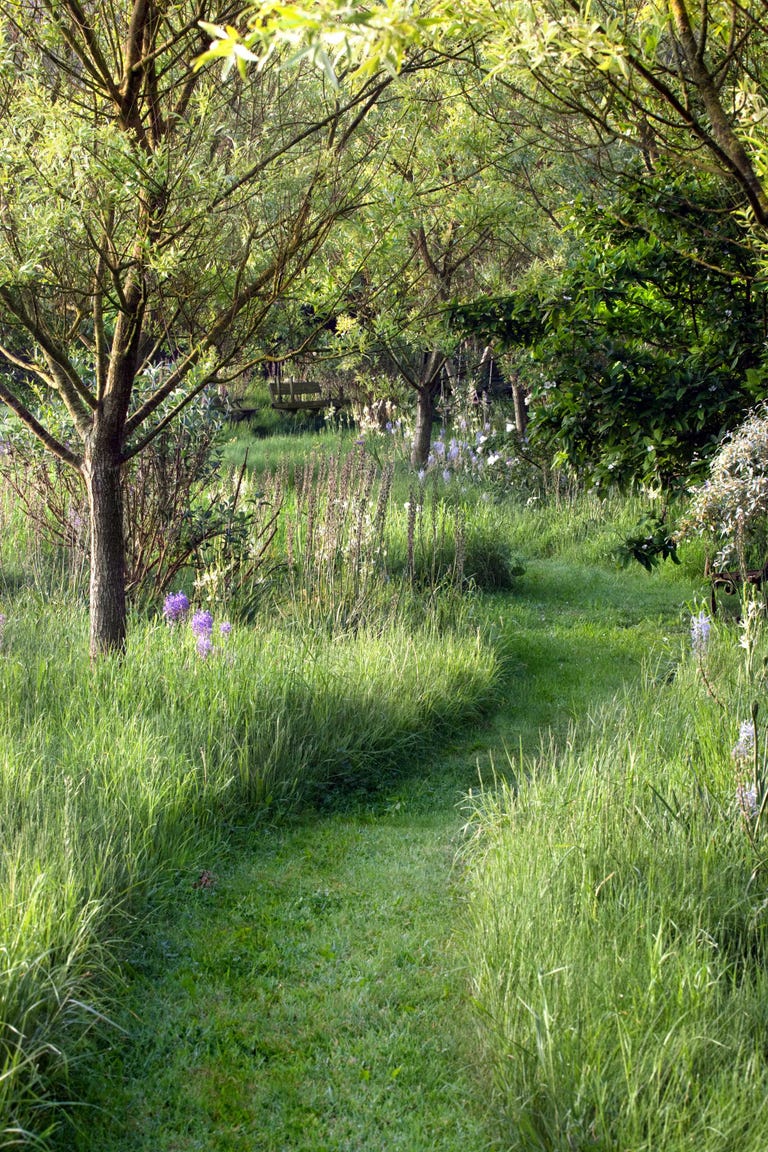 Water Saving Landscaping — Saving Water In the Garden