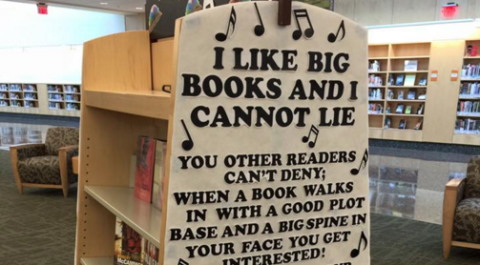 Big Books Library Display - Funny Library Shelf