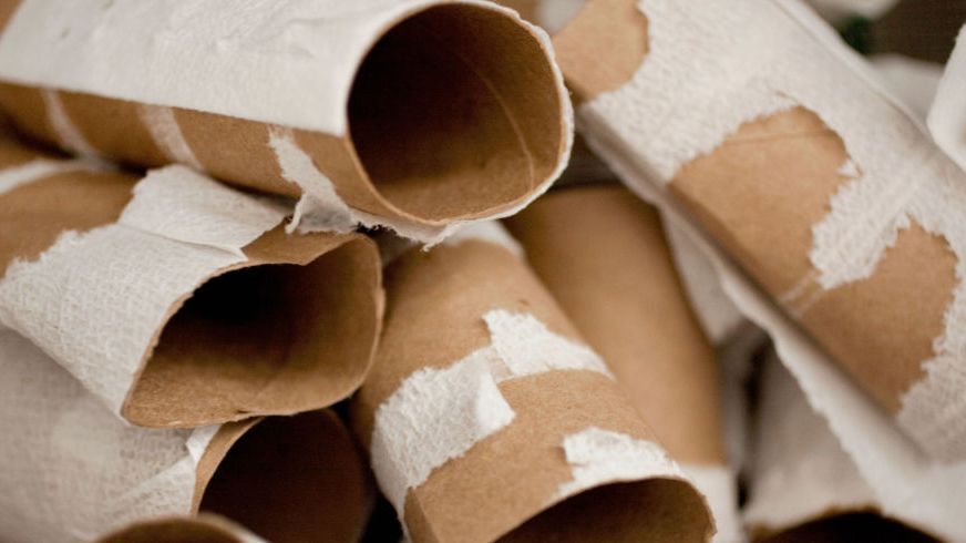 How You Can Use Toilet Paper Tubes In Your Garden 