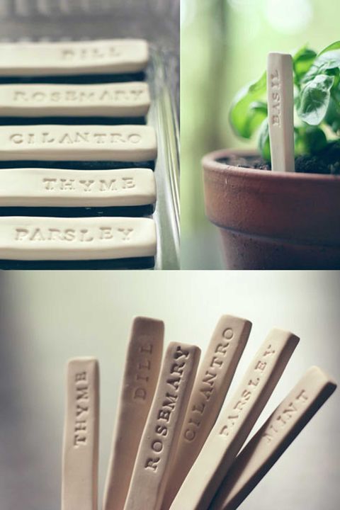 Text, Flowerpot, Houseplant, Office equipment, Herb, Office supplies, Stationery, Still life photography, Collection, Pottery, 