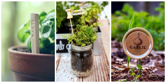 Easy DIY Garden Plant Markers - Canary Street Crafts