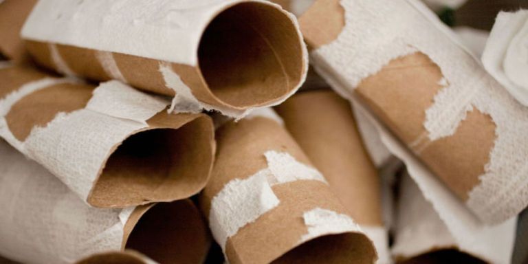 Here's Why You Should Save Your Toilet Paper Tubes for Your Garden - Toilet  Paper and Gardening Hacks