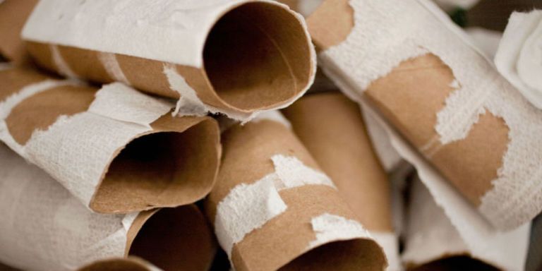 Toilet Paper Tubes 