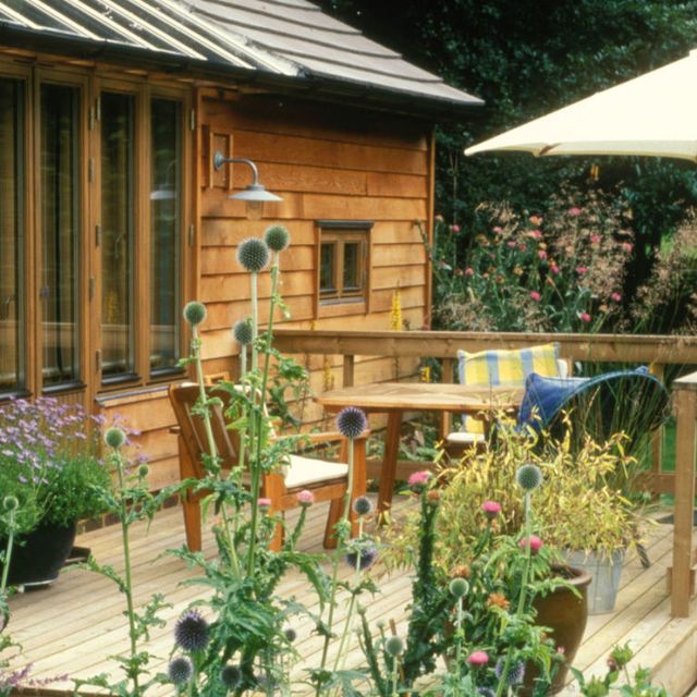 Wood, Plant, Garden, Flowerpot, Backyard, House, Roof, Yard, Shrub, Hardwood, 