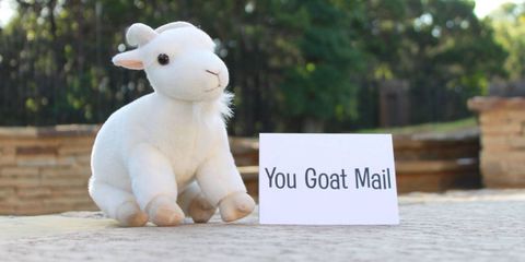 send a stuffed animal in the mail