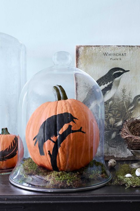 halloween craft no carve raven pumpkin
