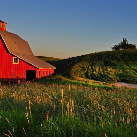 Why Are Barns Red? - The Reason Farmers Paint Barns Red