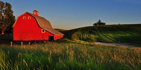 Why Are Barns Red The Reason Farmers Paint Barns Red