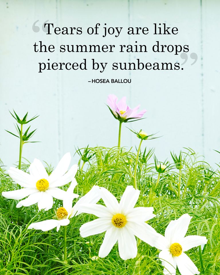 20 Best Summer Quotes and Sayings - Inspirational Quotes About Summer