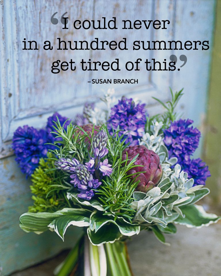 Image with beautiful summer quote
