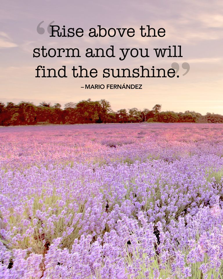 Image with inspirational summer quotes
