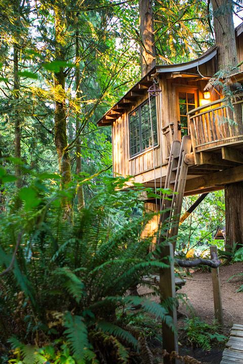 Treehouse Hotels - American Vacation Ideas