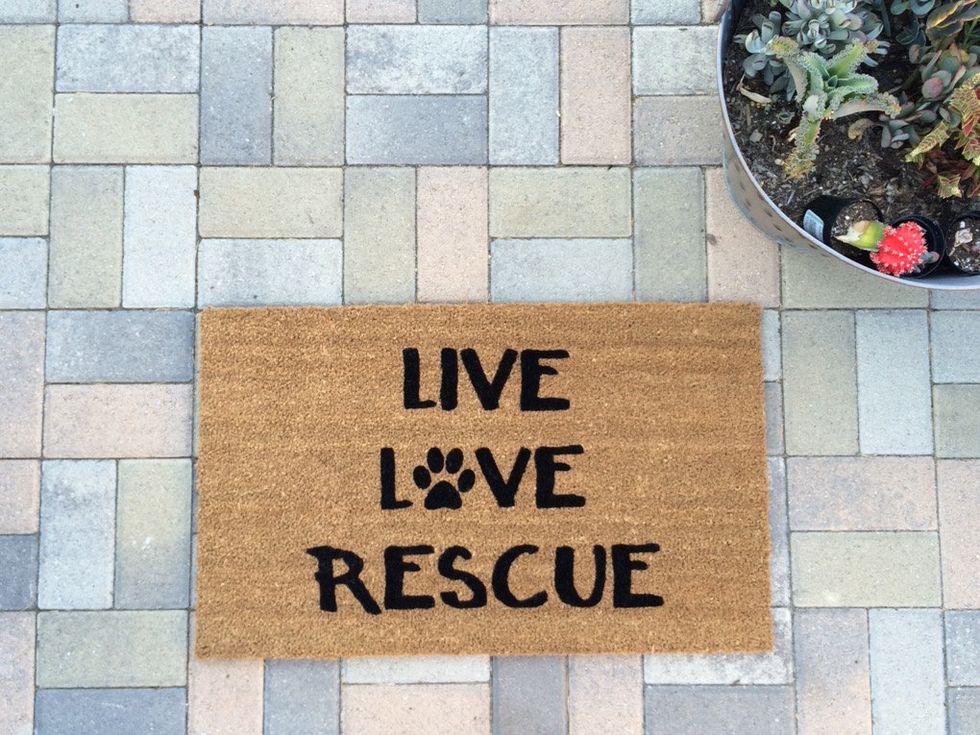 11 Best Funny welcome mat ideas  funny welcome mat, door mat, welcome mats