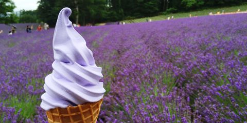 Lavender, Ice cream cone, Purple, Dessert, Cone, Ice cream, Ingredient, Dairy, Frozen dessert, Violet, 