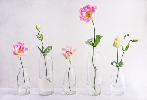 Petal, Flower, Glass, Pink, Flowering plant, Artifact, Botany, Flower Arranging, Plant stem, Vase, 
